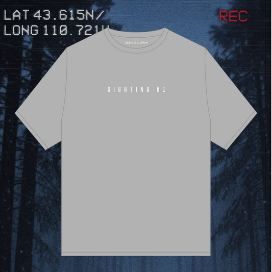 The Icewalwer ❄️👣