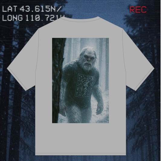 The Icewalwer ❄️👣